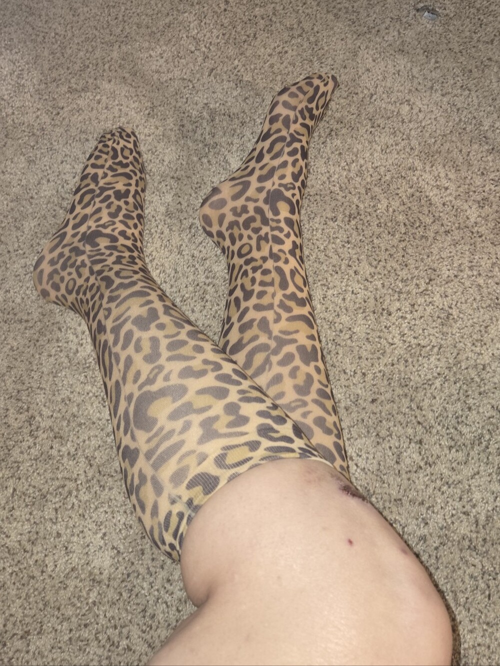 Women's Nylon Socks - Leopard Print Pantyhose Sheer